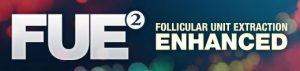 fue2 safesystem